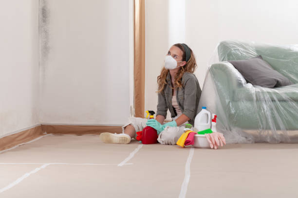 Reliable Commercial Mold Remediation contractor in Fennville, MI by WQB Mold Removal